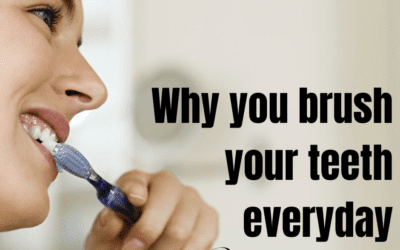 Why You Brush Your Teeth Everyday