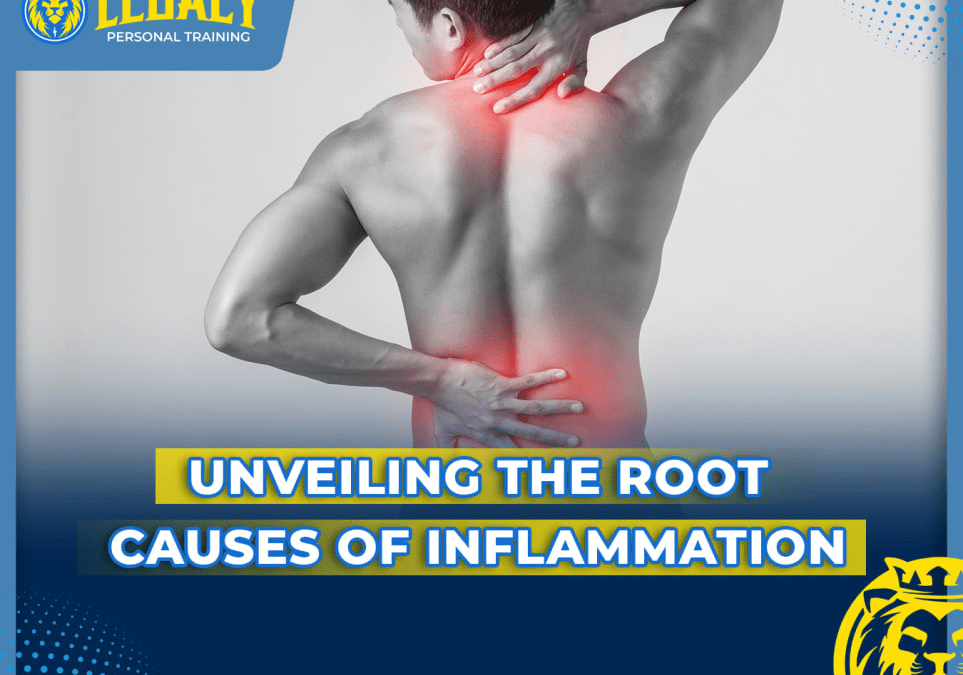 Unveiling the Root Causes of Inflammation