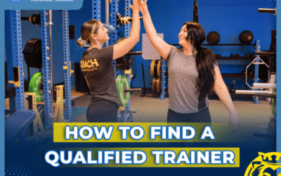 How to Find a Qualified Trainer