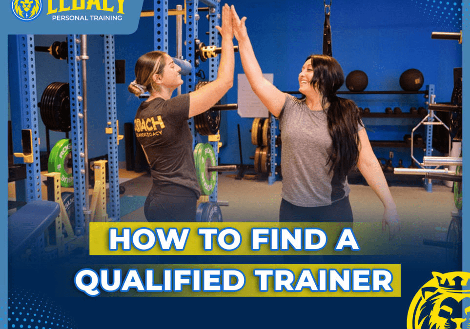 How to Find a Qualified Trainer
