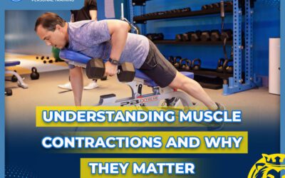 Understanding Muscle Contractions and Why They Matter for Strength, Muscle Growth, and Injury Prevention
