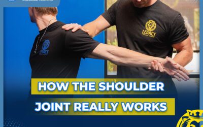 How the Shoulder Joint Really Works and Why It Matters for Training